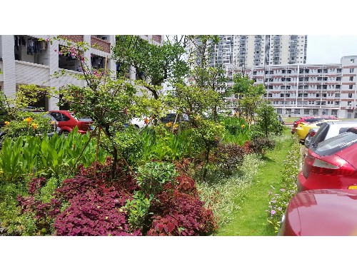博鱼中国官网：南平政绿化招工信息