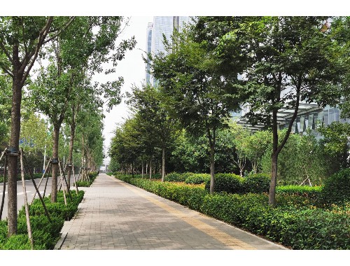 博鱼boyu官方网站：天门园建园林绿化工程有限公司