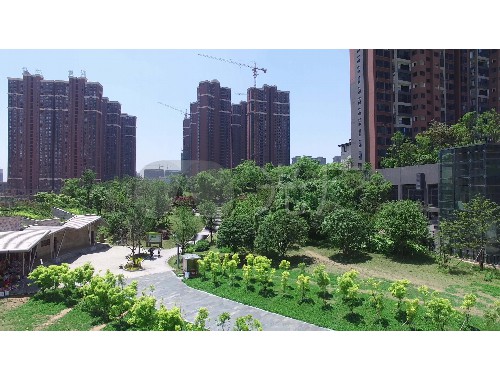 博鱼官方网站：万新街道古树绿化工程项目