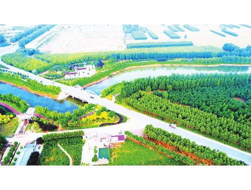 博鱼官方网站：天津市绿化工程三所