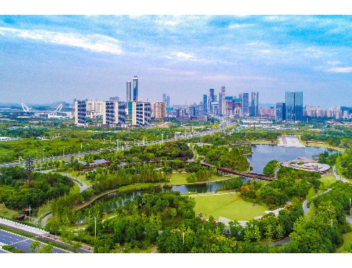 博鱼boyu体育sports：六安绿化苗木市场规模