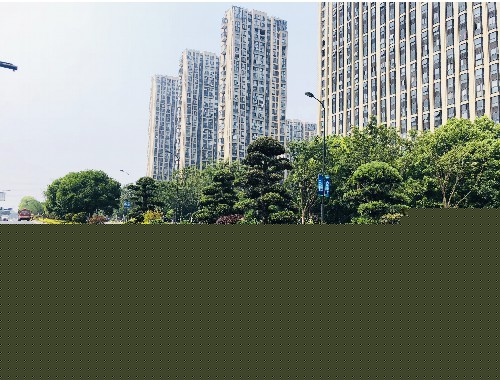 博鱼官方网站：市政绿化工程签证范本