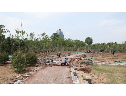 博鱼boyu体育sports：兴化宜良绿化树苗批发市场