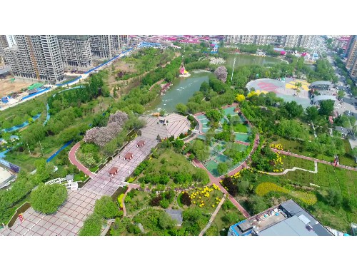 博鱼boyu体育官方平台：鄢陵绿恒园林绿化工程