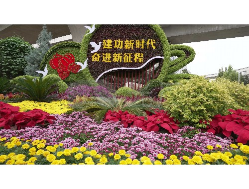 博鱼boyu官方网站：新乡绿化工程苗圃项目招标