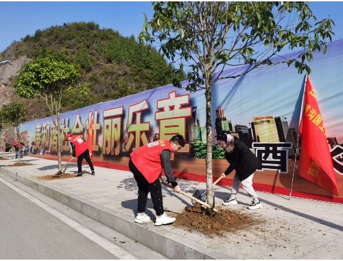 博鱼boyu体育官方平台：园林种植绿化工程有限公司